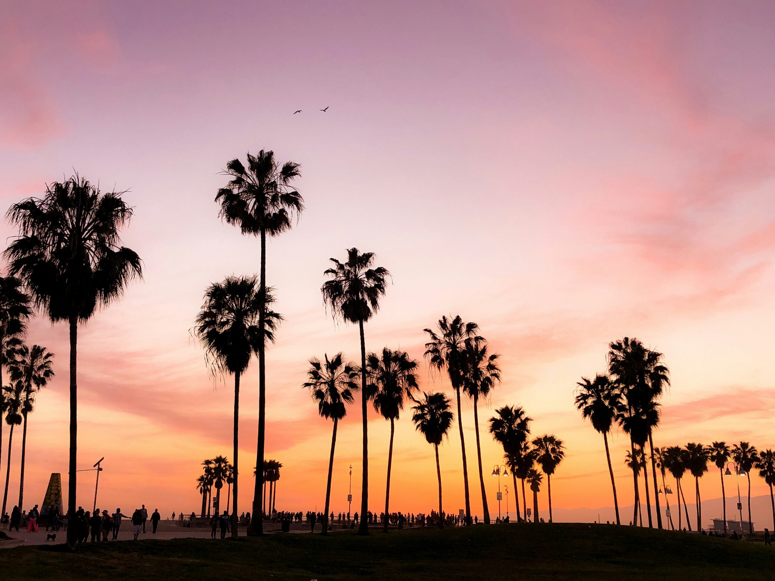 What Are Some RV Camping Sites In Northern California?