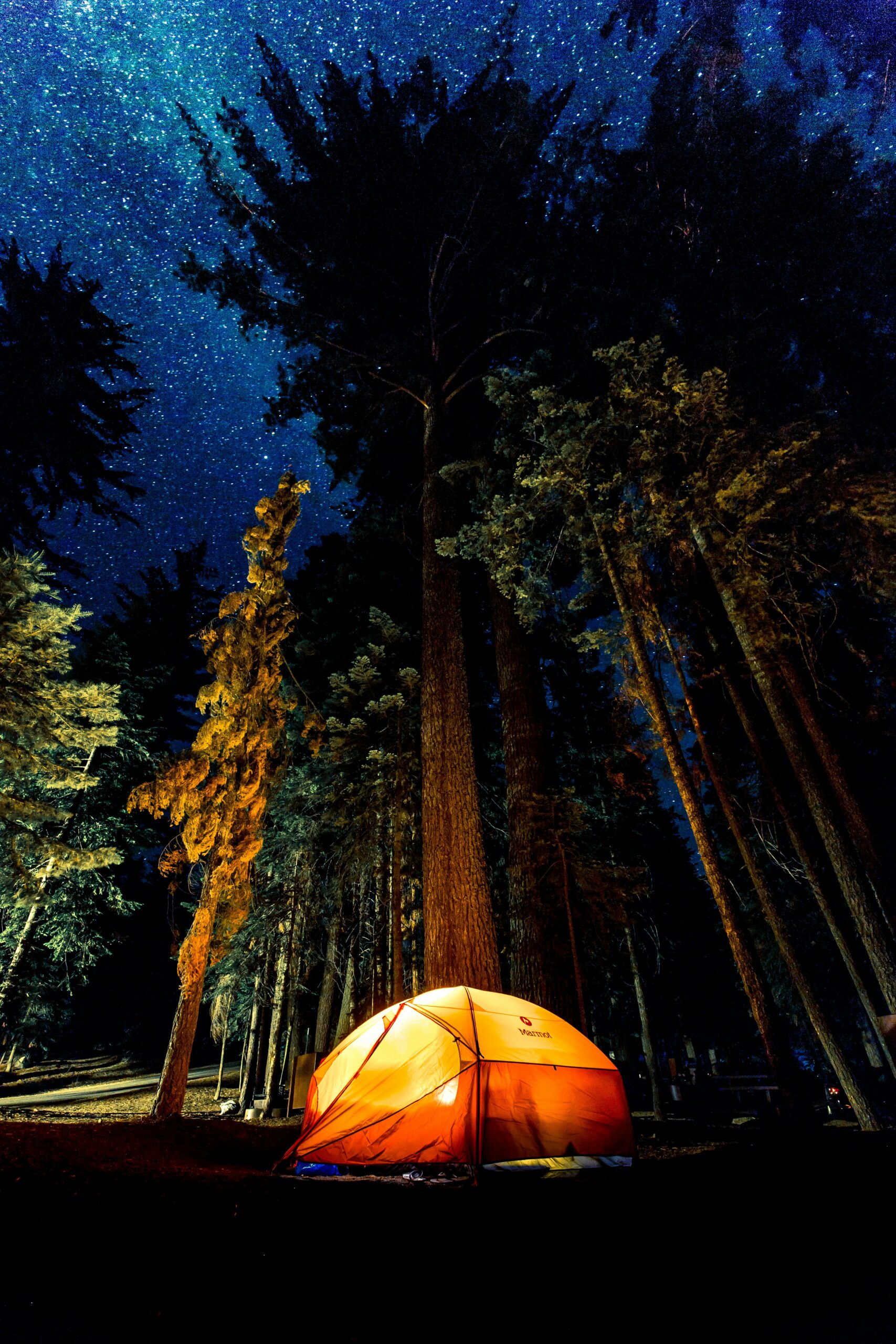 What Are The Attractions Near RV Camping In Mesquite Nevada?