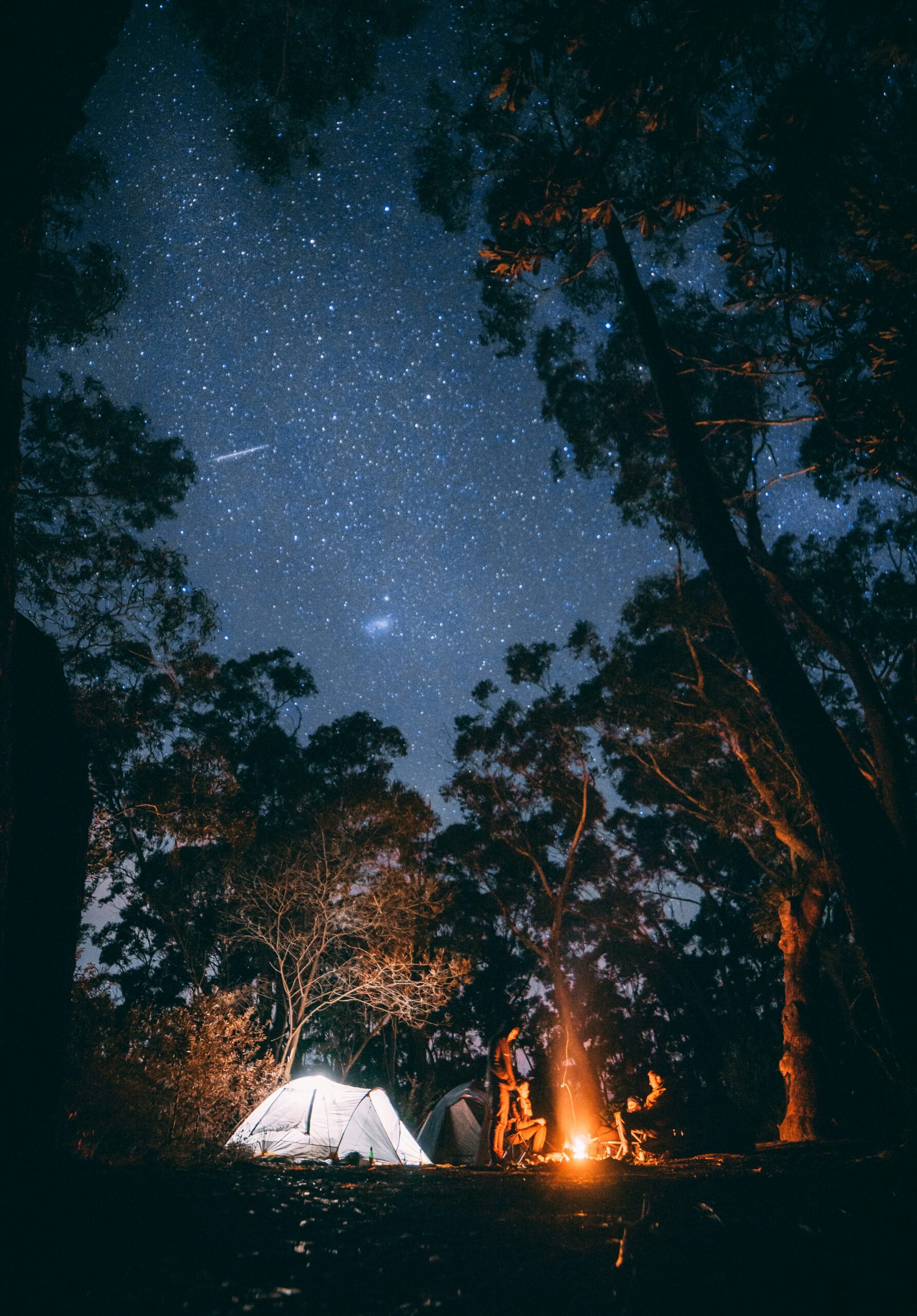 What Are The Must-visit RV Camping Destinations In Northern California?