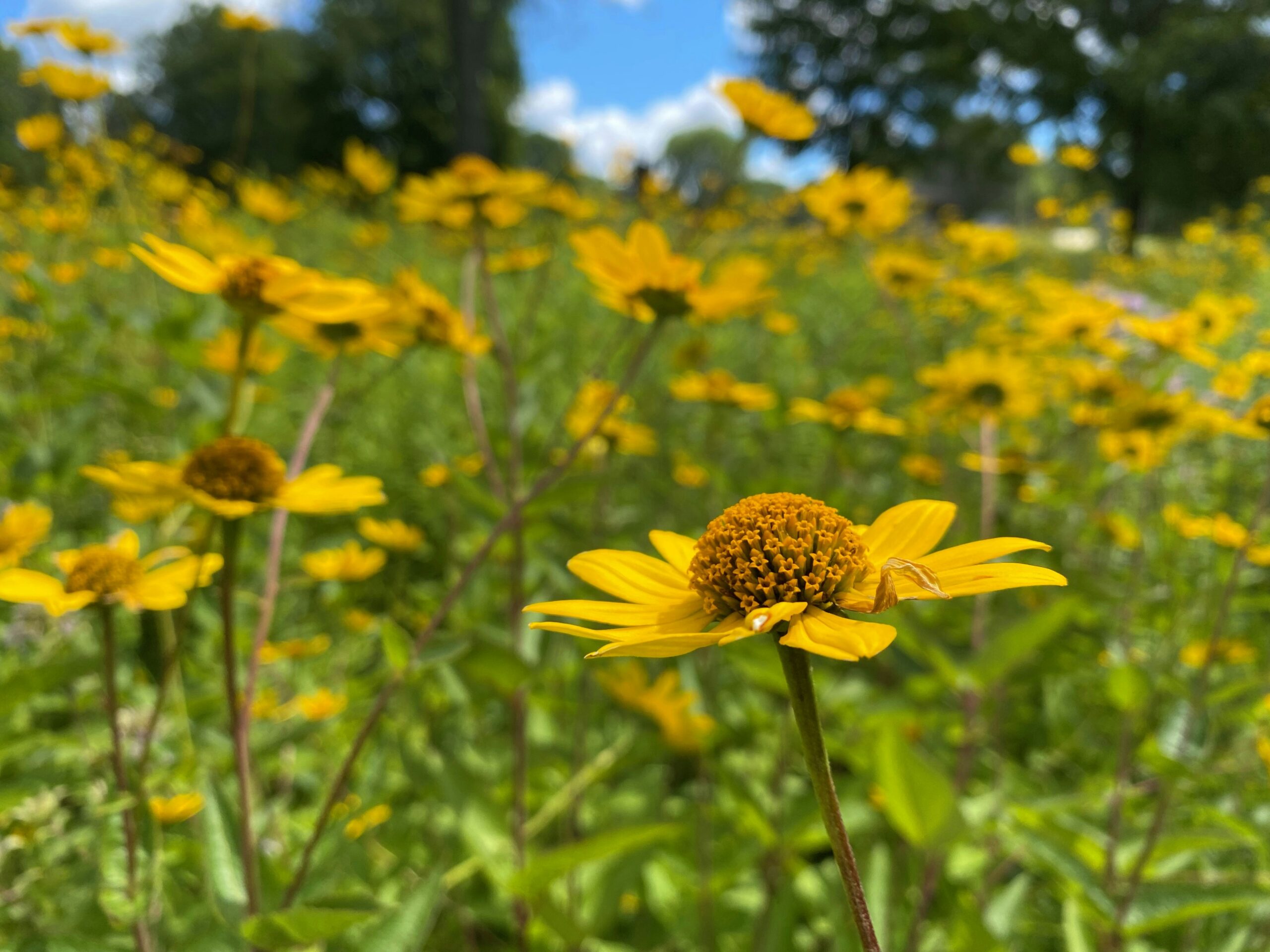 What Are The Popular RV Camping Sites In Wisconsin?