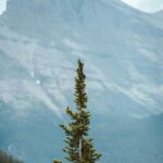 What Are The Attractions Near RV Camping In Bozeman MT?