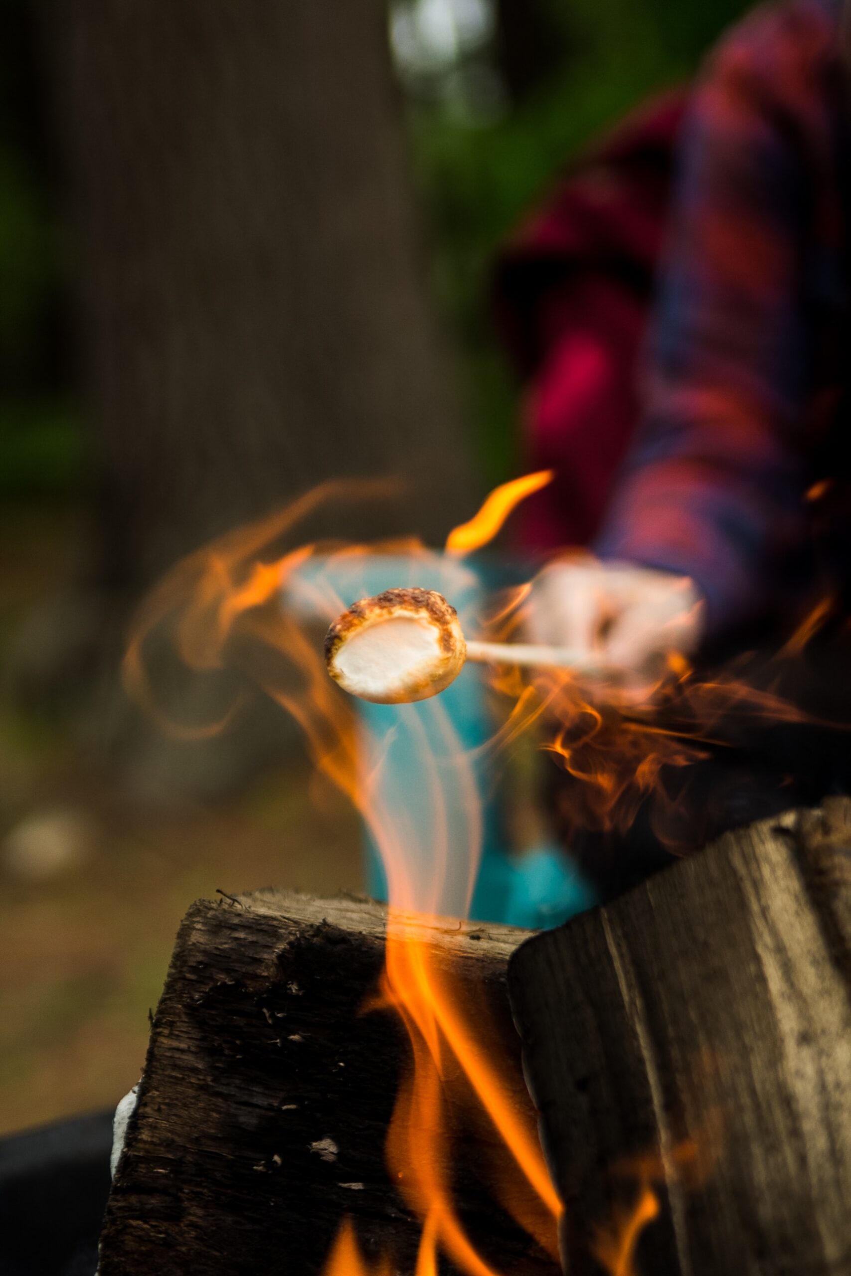 What Are The Recommended RV Camping Spots In Mississippi?