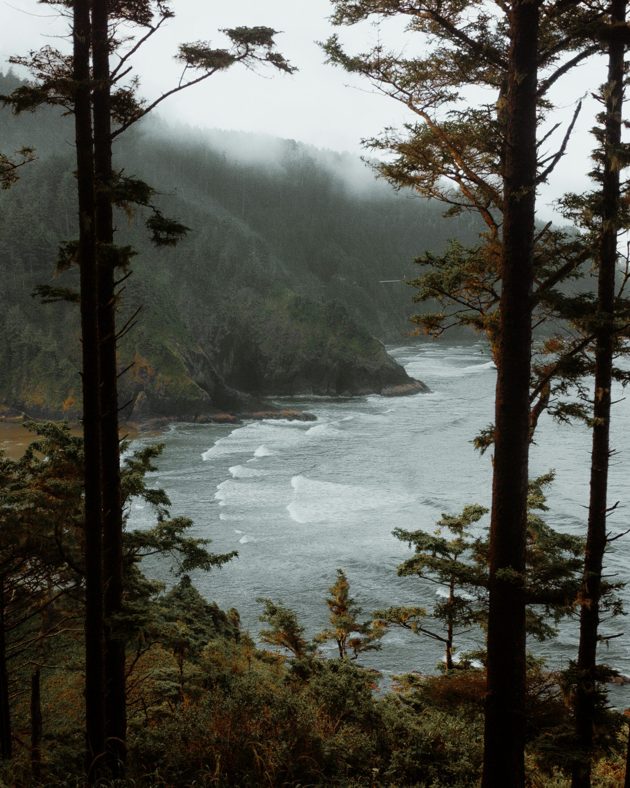 What Are The Attractions Near RV Camping In Newport OR?