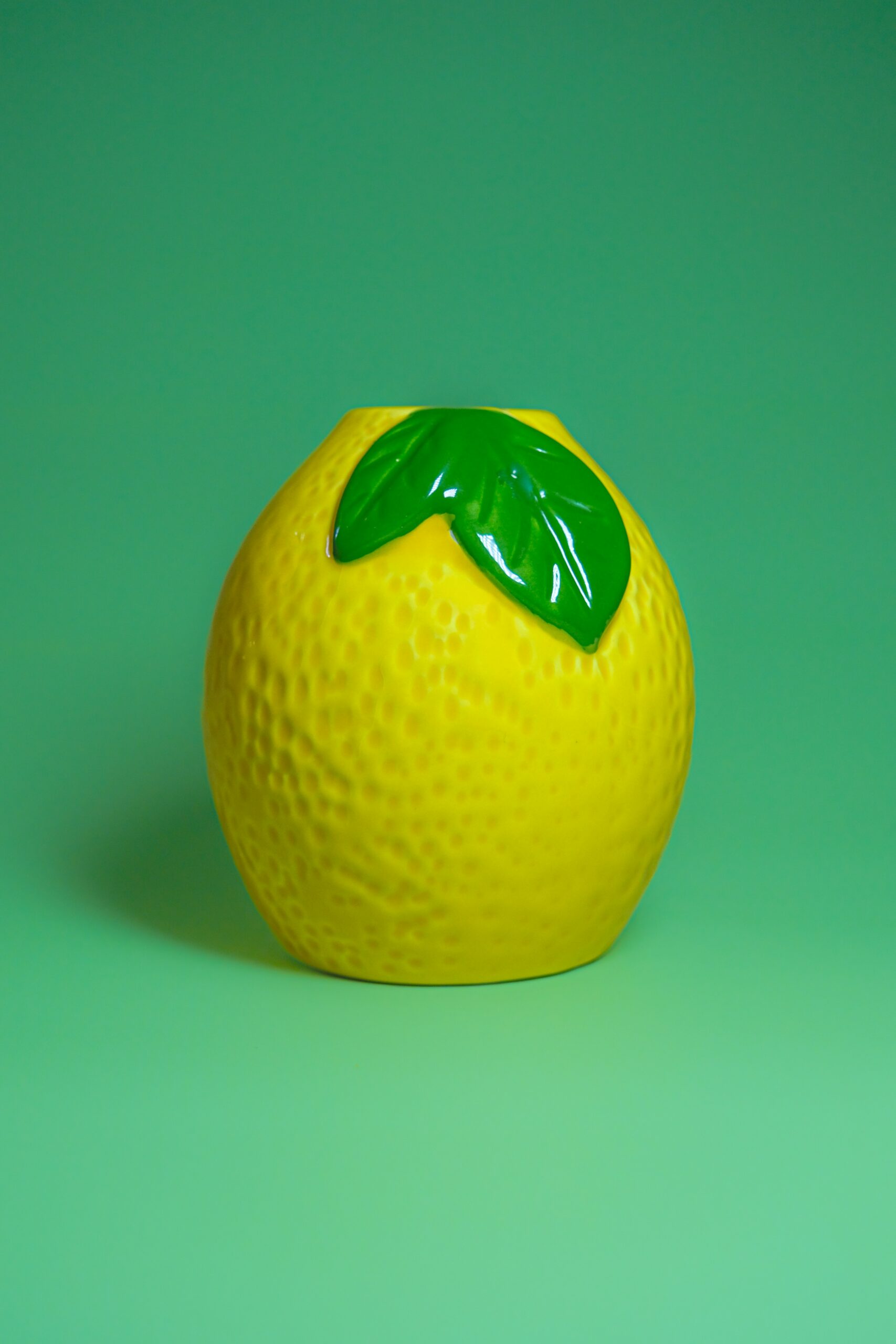 Lemon RV? 3 Tips To Avoid Getting A Lemon Recreational Vehicle Lemon RV? 3 Tips To Avoid Getting A Lemon Recreational Vehicle