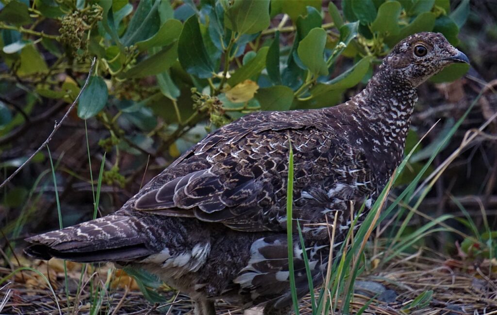 What Are The Best RV Camping Locations In Washington? What Are The Best RV Camping Locations In Washington?