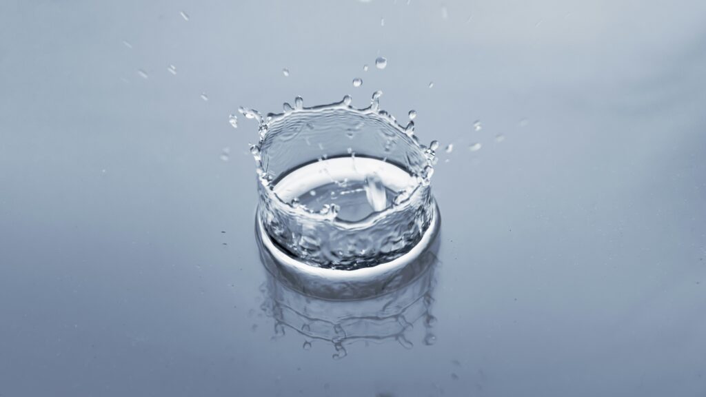 GoBluTech RV Water Softener, Stainless Steel Portable Water Softener, 10,000 Grain with Stainless Steel Garden Hose Quick Connects, RV Accessories Camper Vans and Travel Trailers - US Veteran Owned